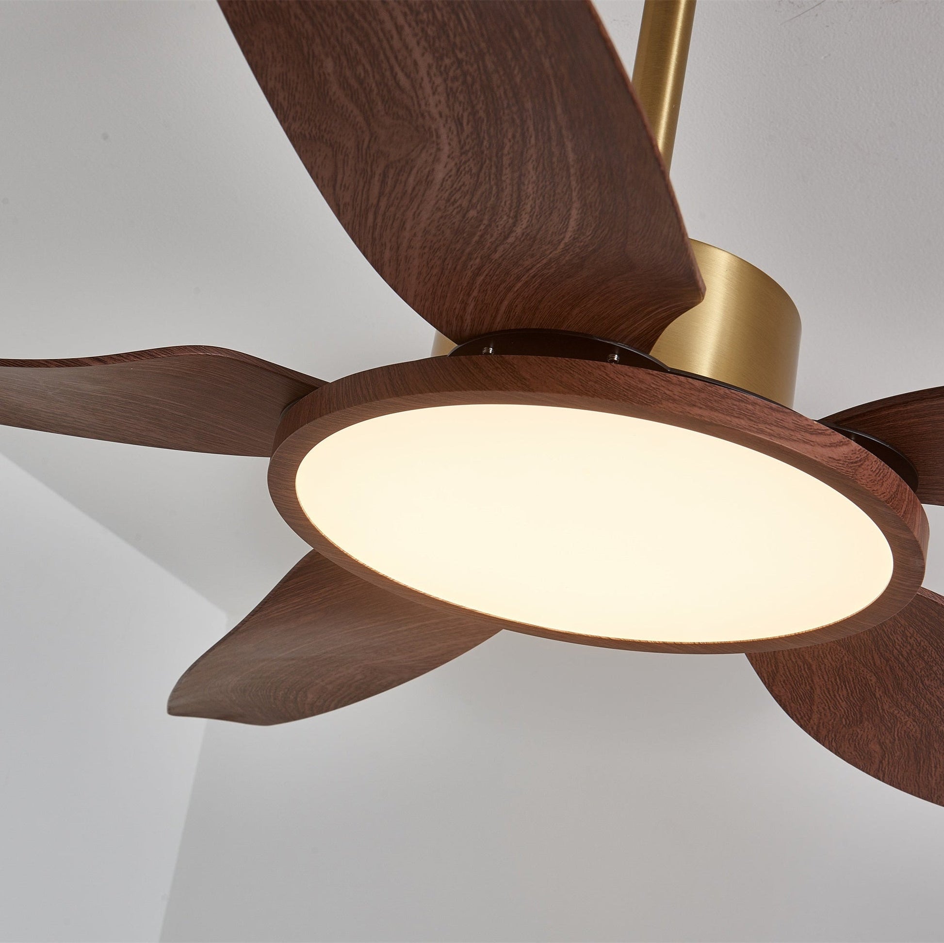 Aurelia Modern Wood Brass Ceiling Fan Light-Neutral Decor