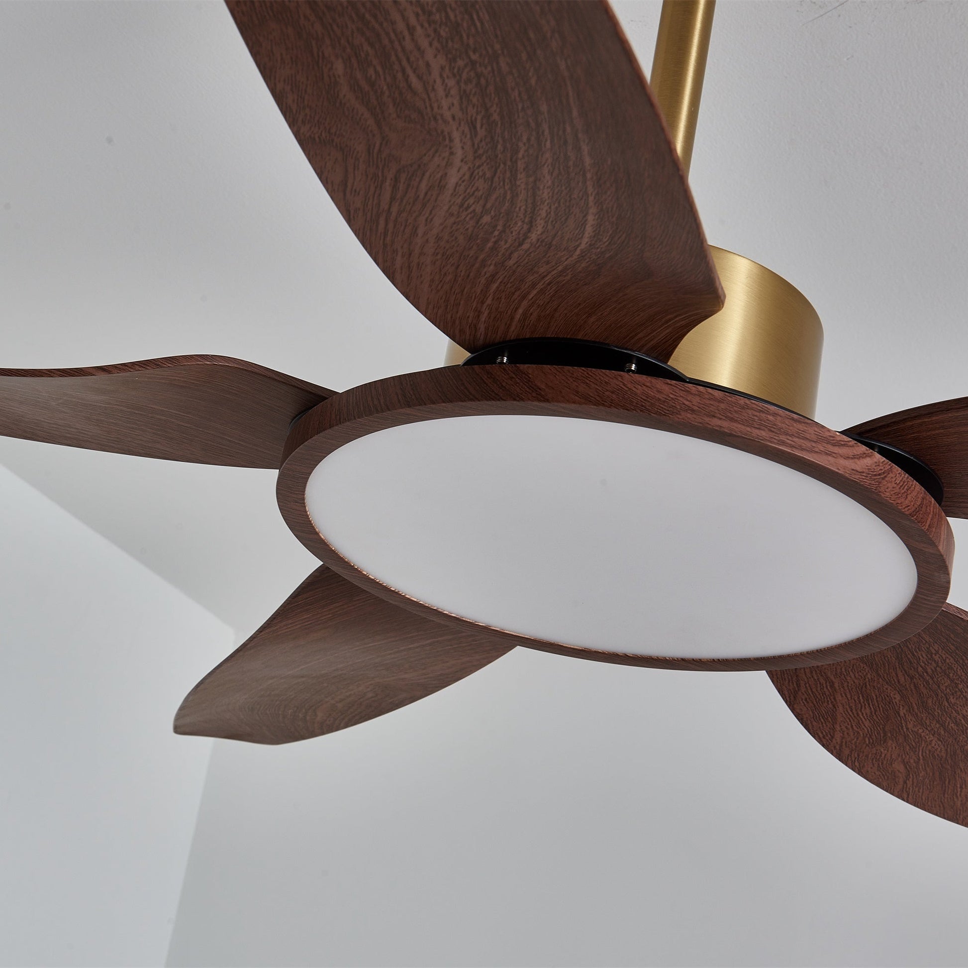 Aurelia Modern Wood Brass Ceiling Fan Light-Neutral Decor