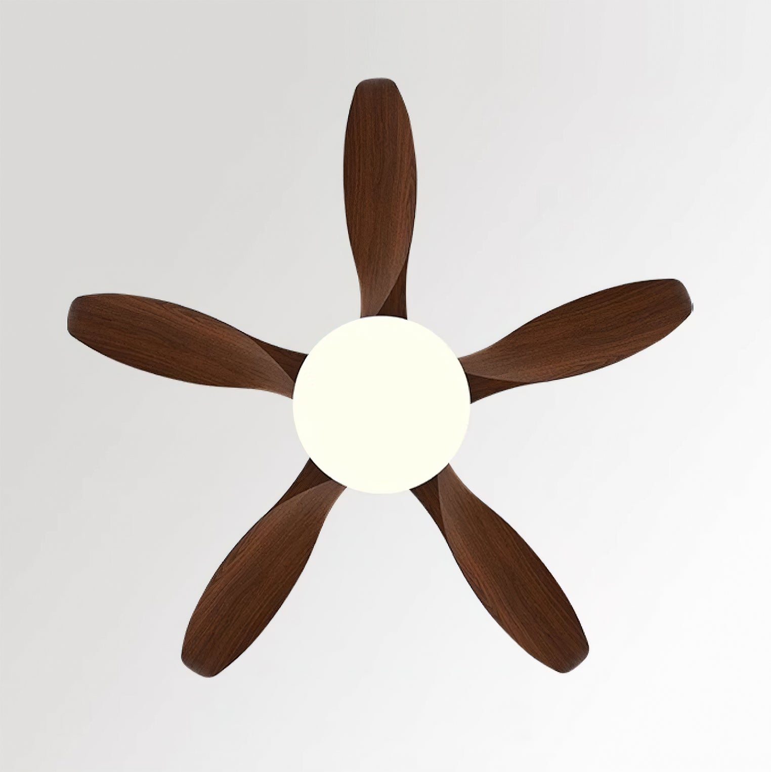 Side profile of the Splenda Ceiling Fan Light, showing its mounting and height.