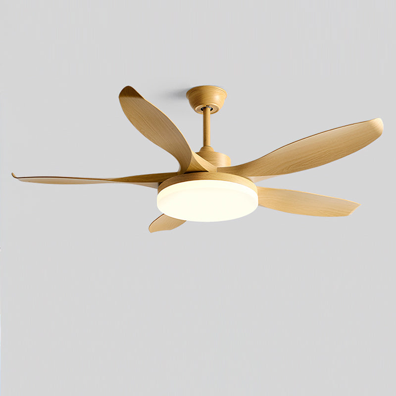 Callista Ceiling Fan Light