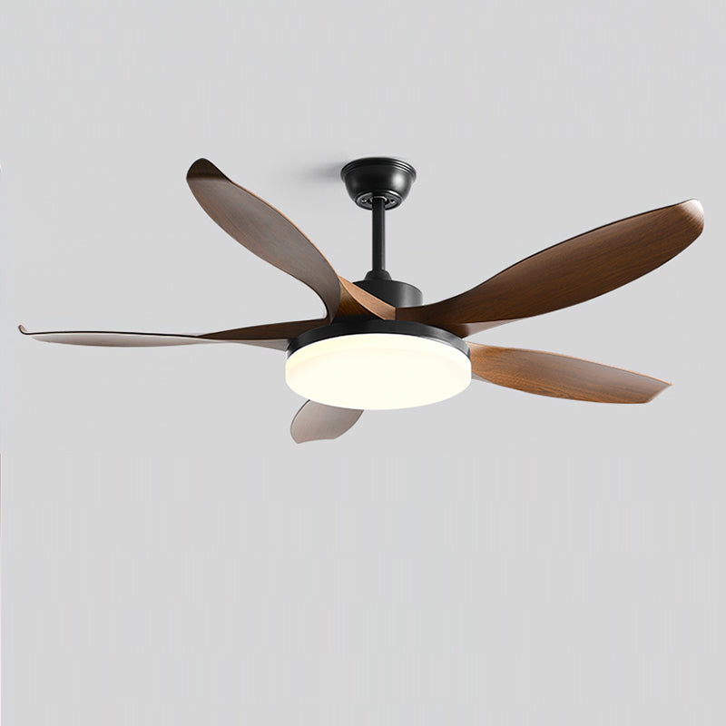 Callista Ceiling Fan Light