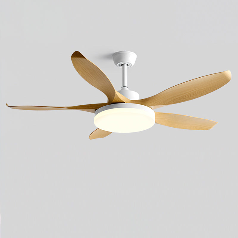 Lifestyle image of the white Splenda Ceiling Fan Light in a minimalist interior.