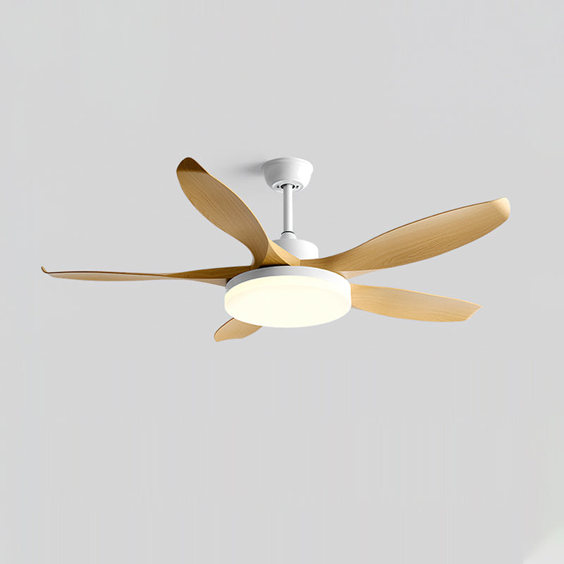 Callista Ceiling Fan Light