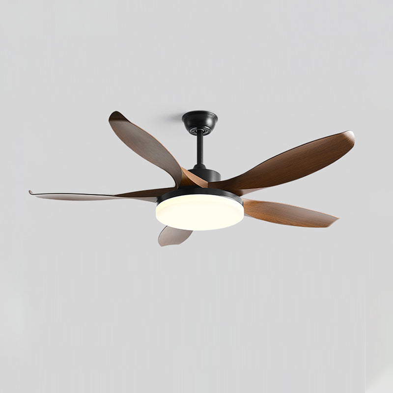 Callista Ceiling Fan Light