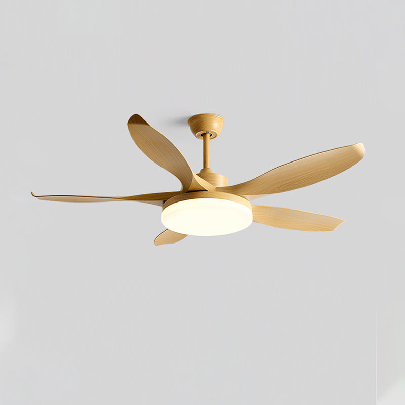 The Splenda Ceiling Fan Light in chrome finish in a contemporary kitchen.