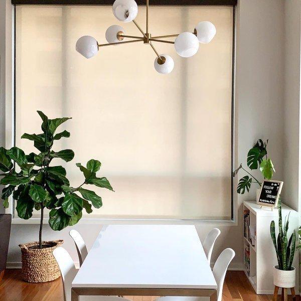 Aristin Chandelier Staggered Glass 6-Light-Neutral Decor
