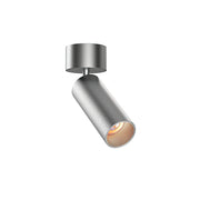 Stanly Ceiling Spotlight Lamp in gold finish, front view.