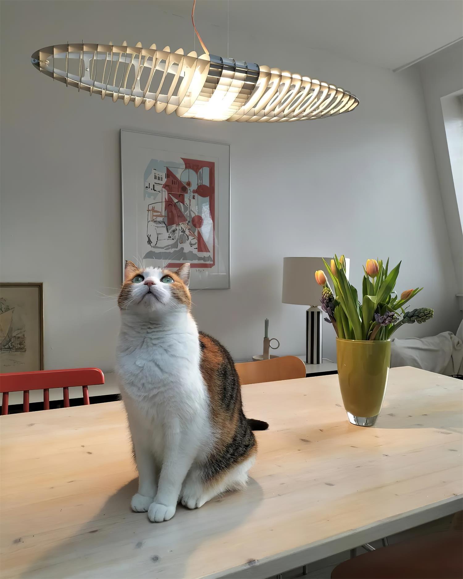 Leomill Pendant Lamp