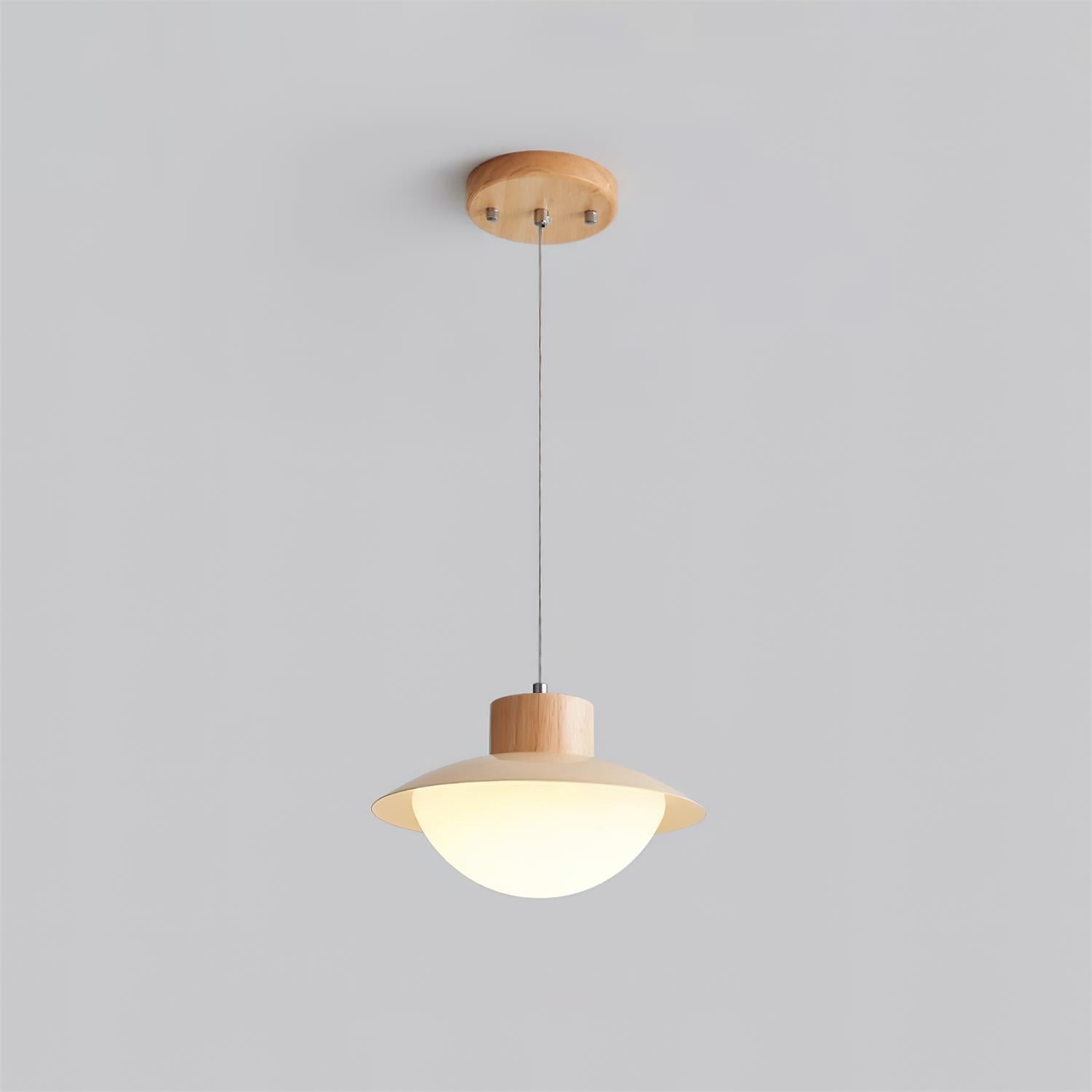 Eloria Pendant Lamp Wood PE Dome Minimalist-Neutral Decor