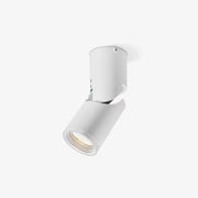 Lustra Ceiling lamp LED Spotlights Sunny Adjustable-Neutral Decor