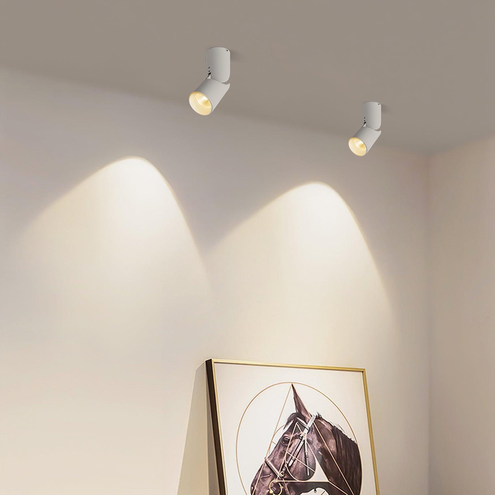 Lustra Ceiling lamp LED Spotlights Sunny Adjustable-Neutral Decor