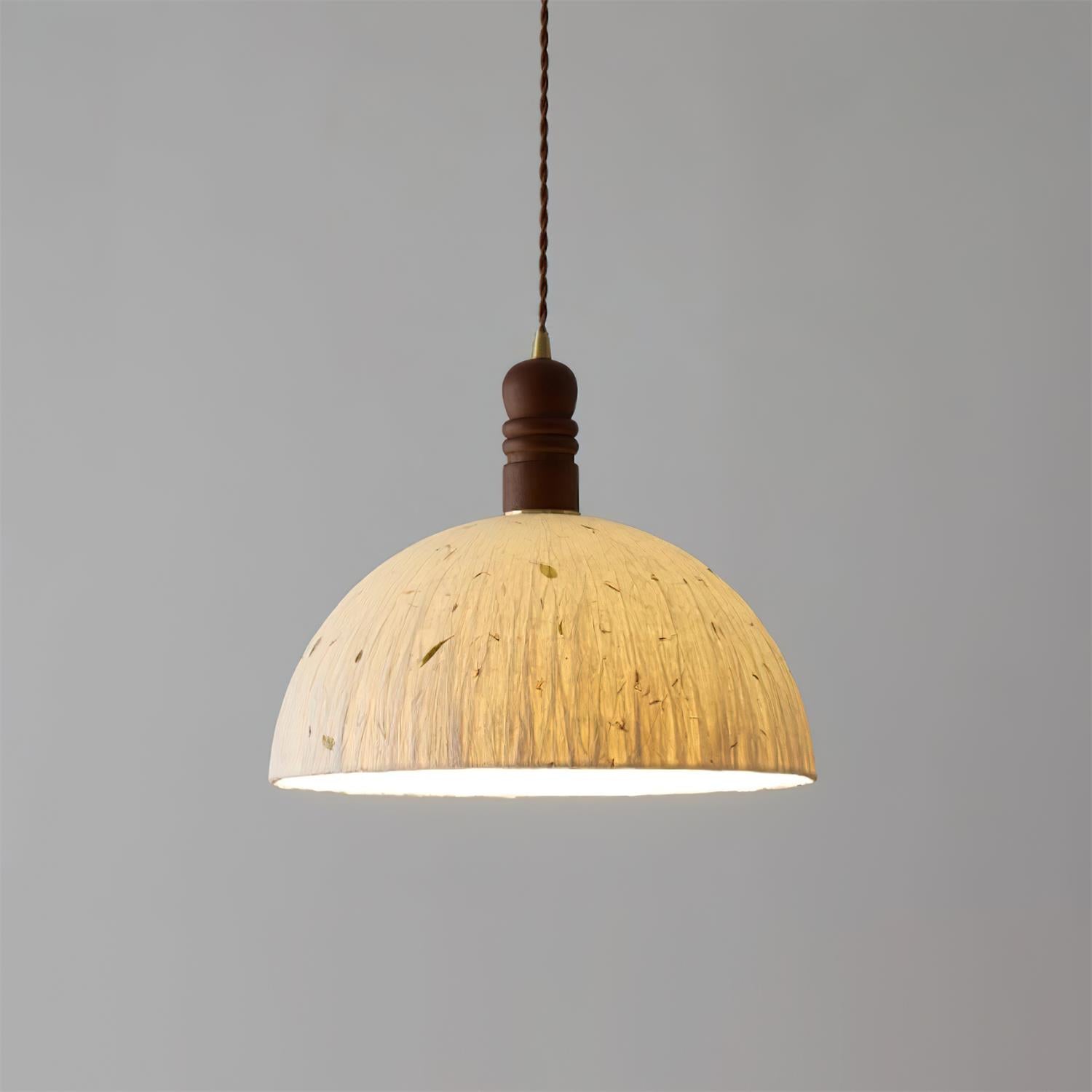 Caldera Dome Pendant Lamp