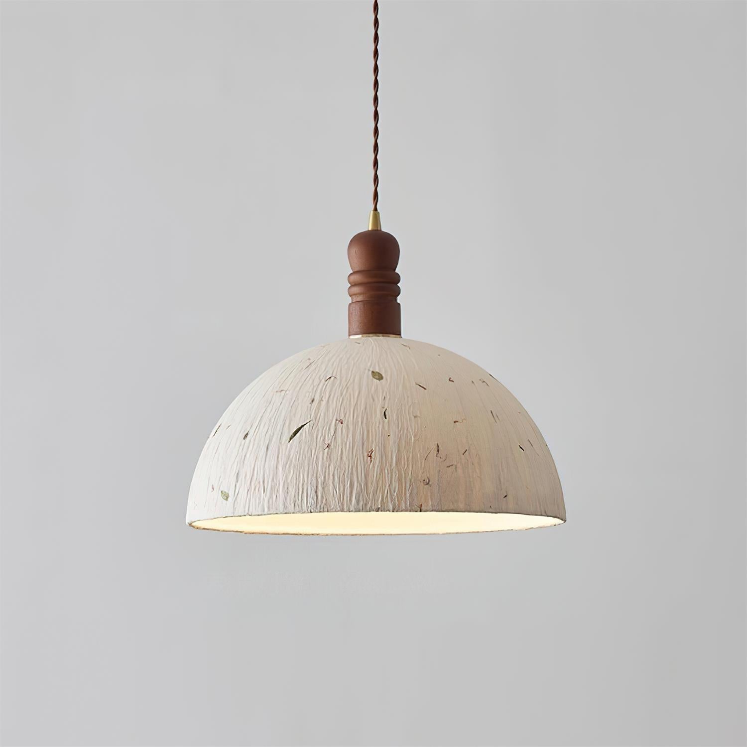 Caldera Dome Pendant Lamp
