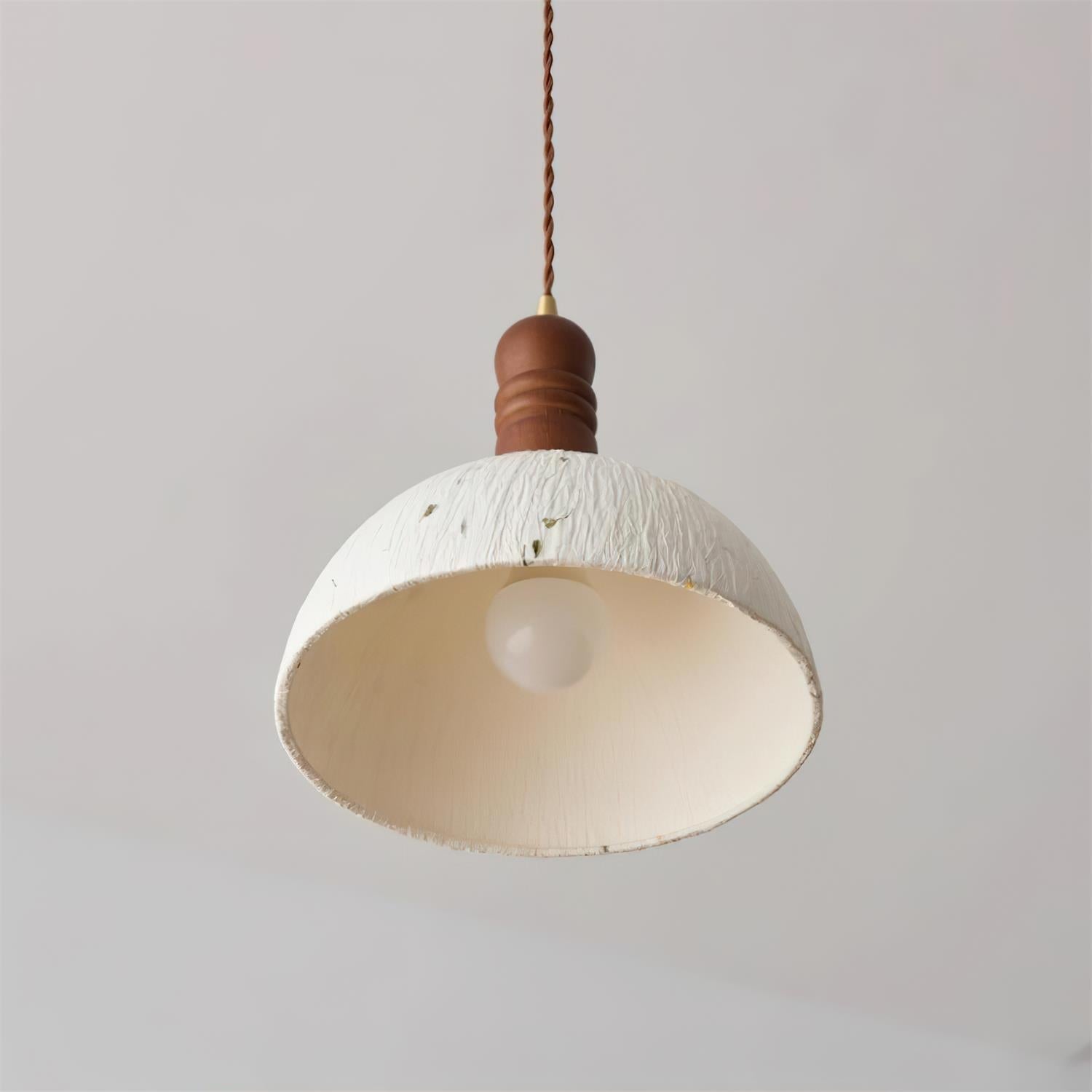 Caldera Dome Pendant Lamp