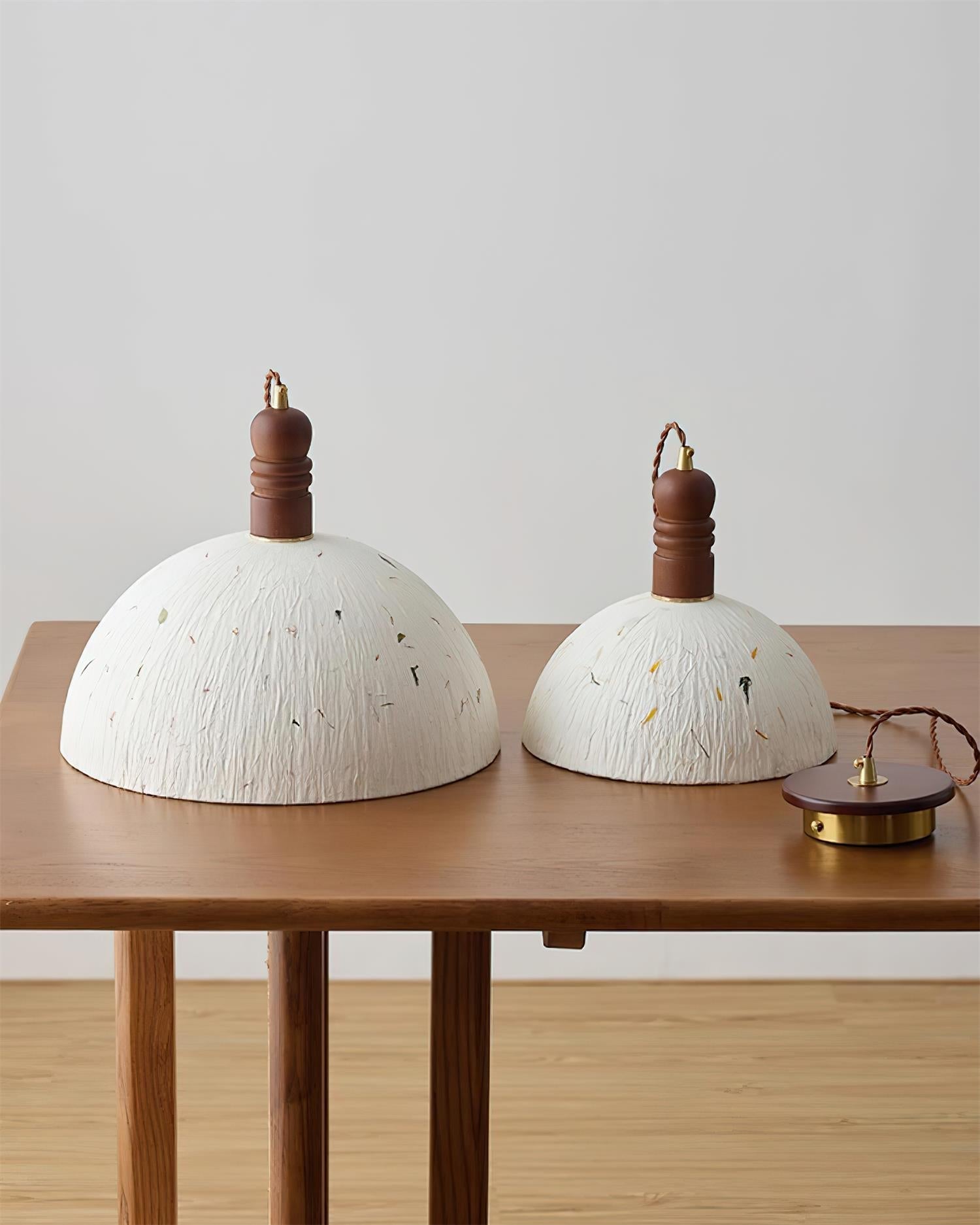 Caldera Dome Pendant Lamp