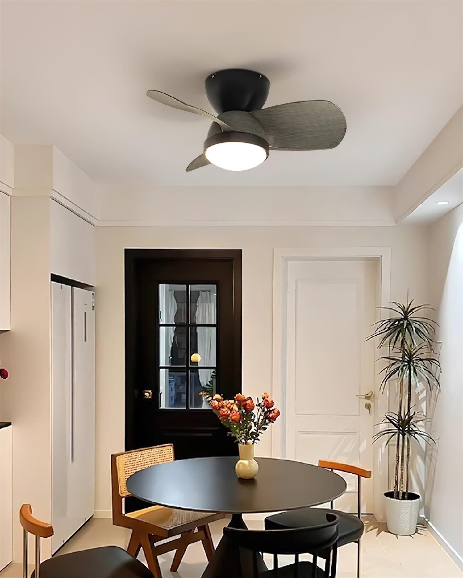 Nancy Ceiling Fan Light