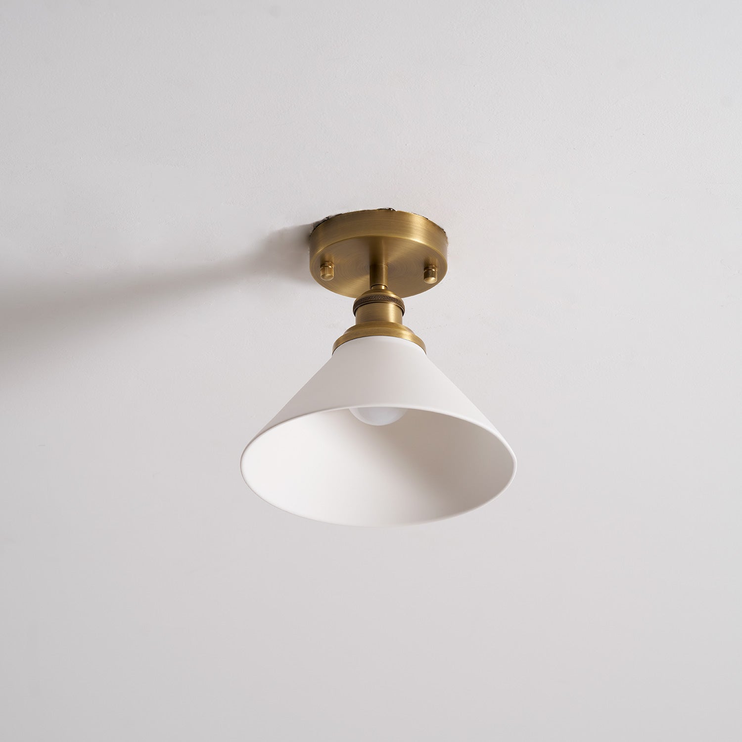 Neya Brass Minimalist DesignCeiling Lamp