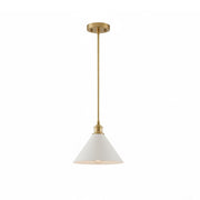 Neya Brass Contemporary Design Pendant Lamp