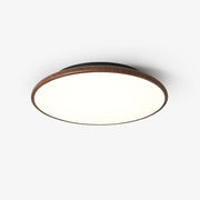 Bluxen Thin Geometry Shape Ceiling Lamp-Neutral Decor