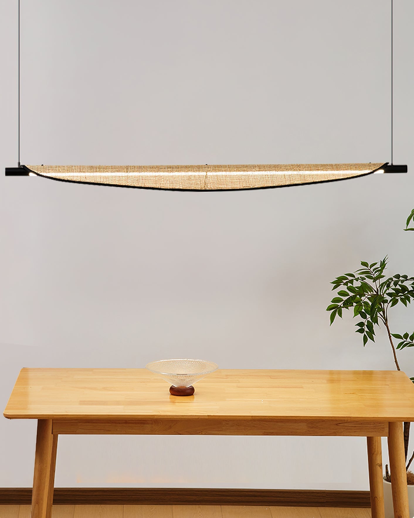 Installation view showing the ceiling mount and suspension wires.