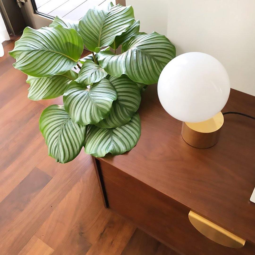 Aru Glass Industrial Table Lamp-Neutral Decor