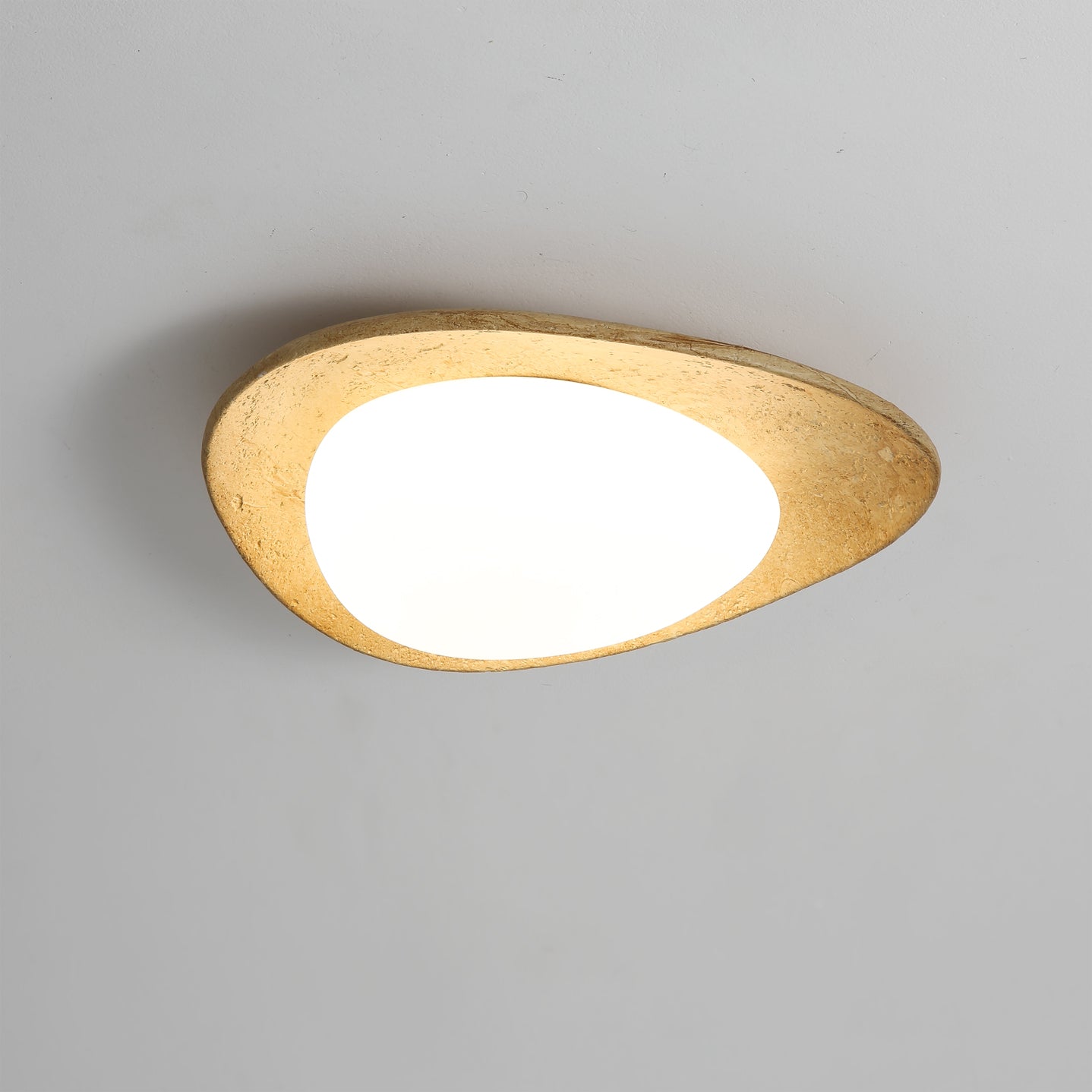 Detail of the fixture's edge and mounting plate.