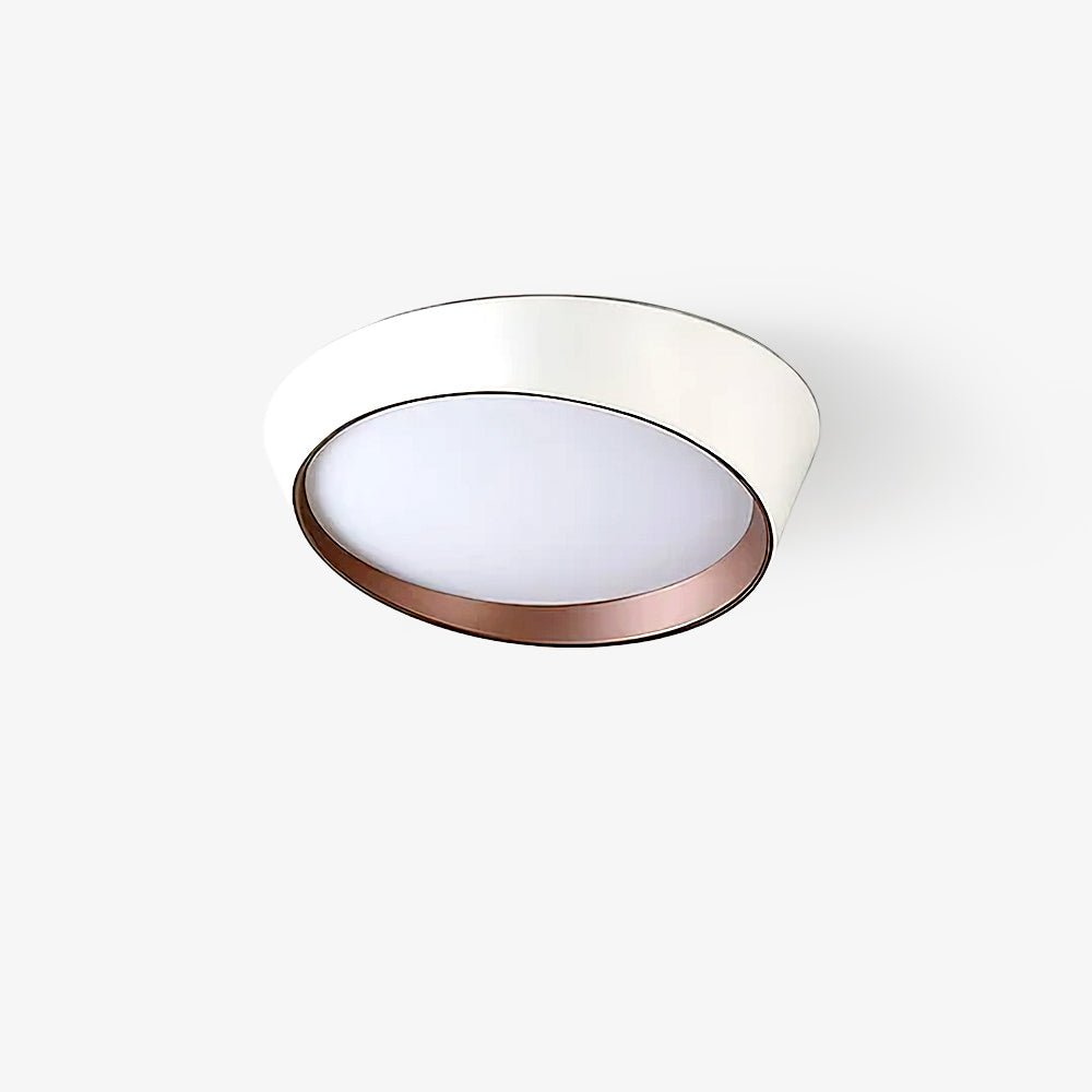 Arixa Modern Minimalist Ceiling Lamp-Neutral Decor