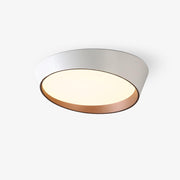 Arixa Modern Minimalist Ceiling Lamp-Neutral Decor