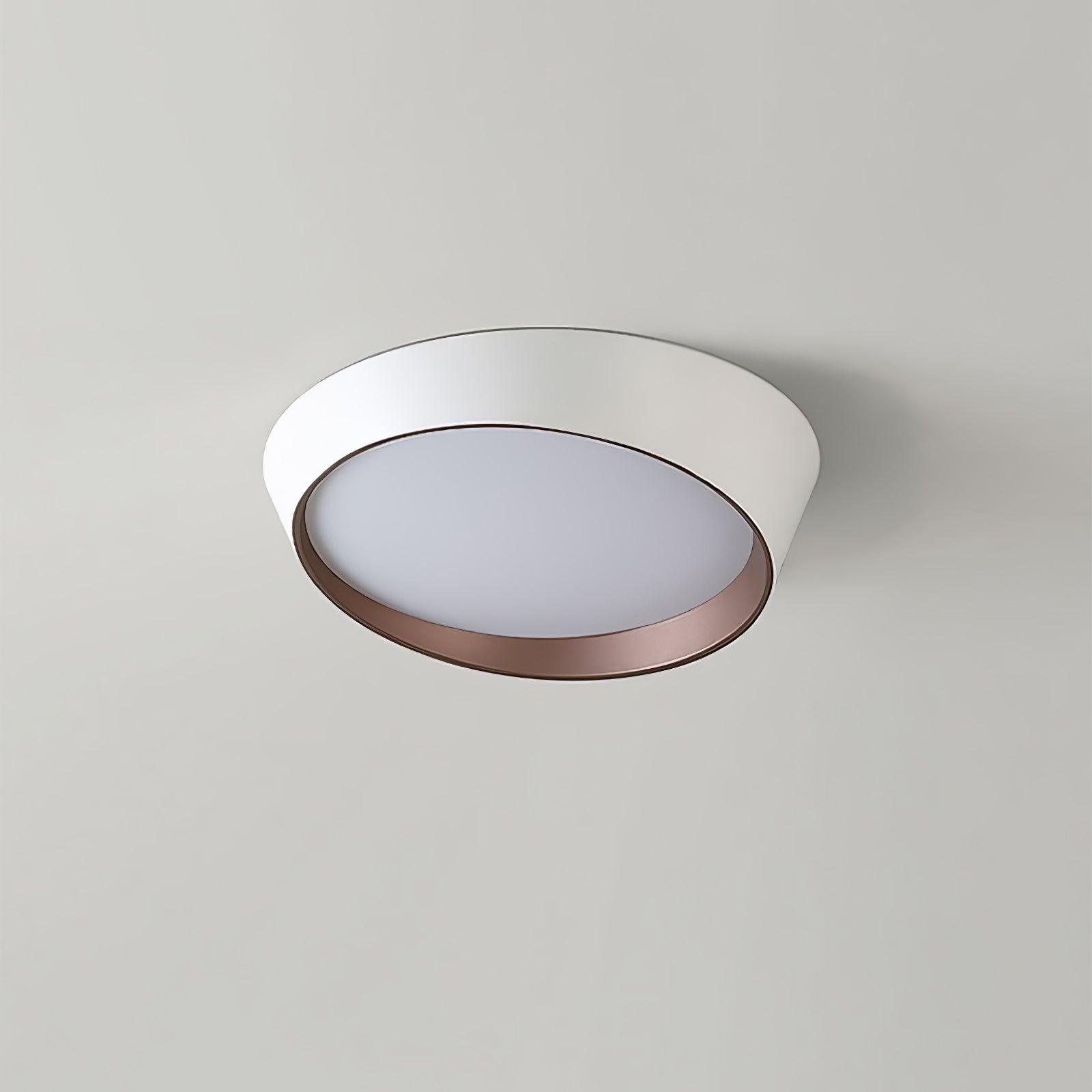 Arixa Modern Minimalist Ceiling Lamp-Neutral Decor