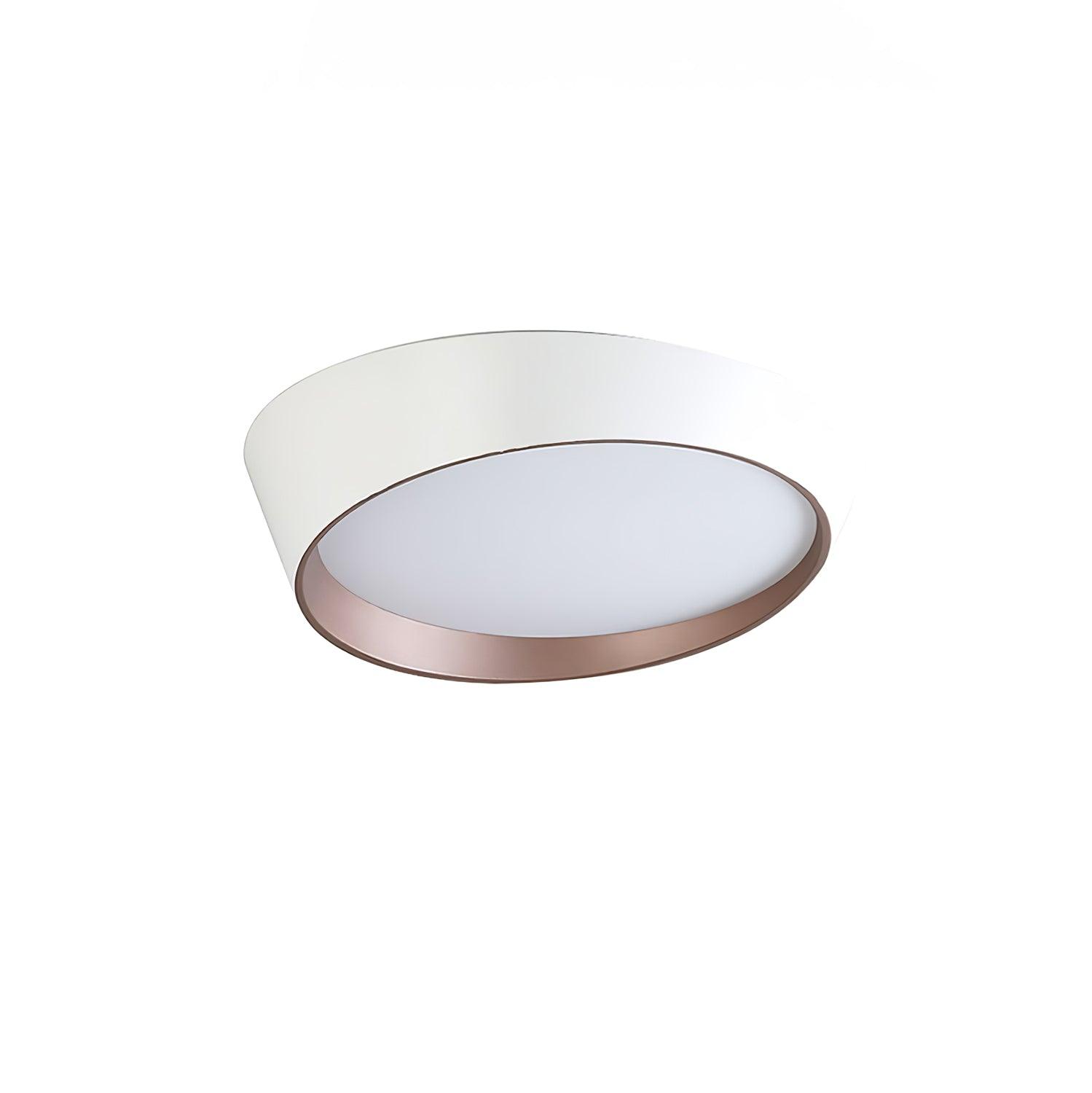 Arixa Modern Minimalist Ceiling Lamp-Neutral Decor