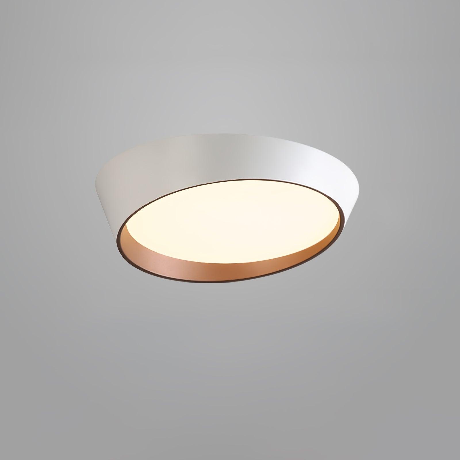 Arixa Modern Minimalist Ceiling Lamp-Neutral Decor