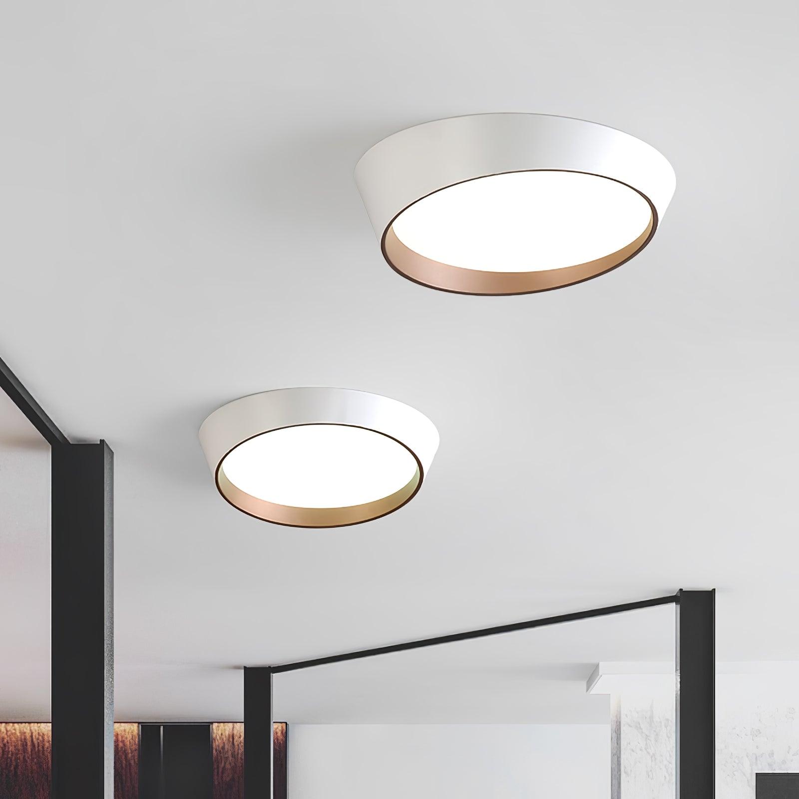 Arixa Modern Minimalist Ceiling Lamp-Neutral Decor