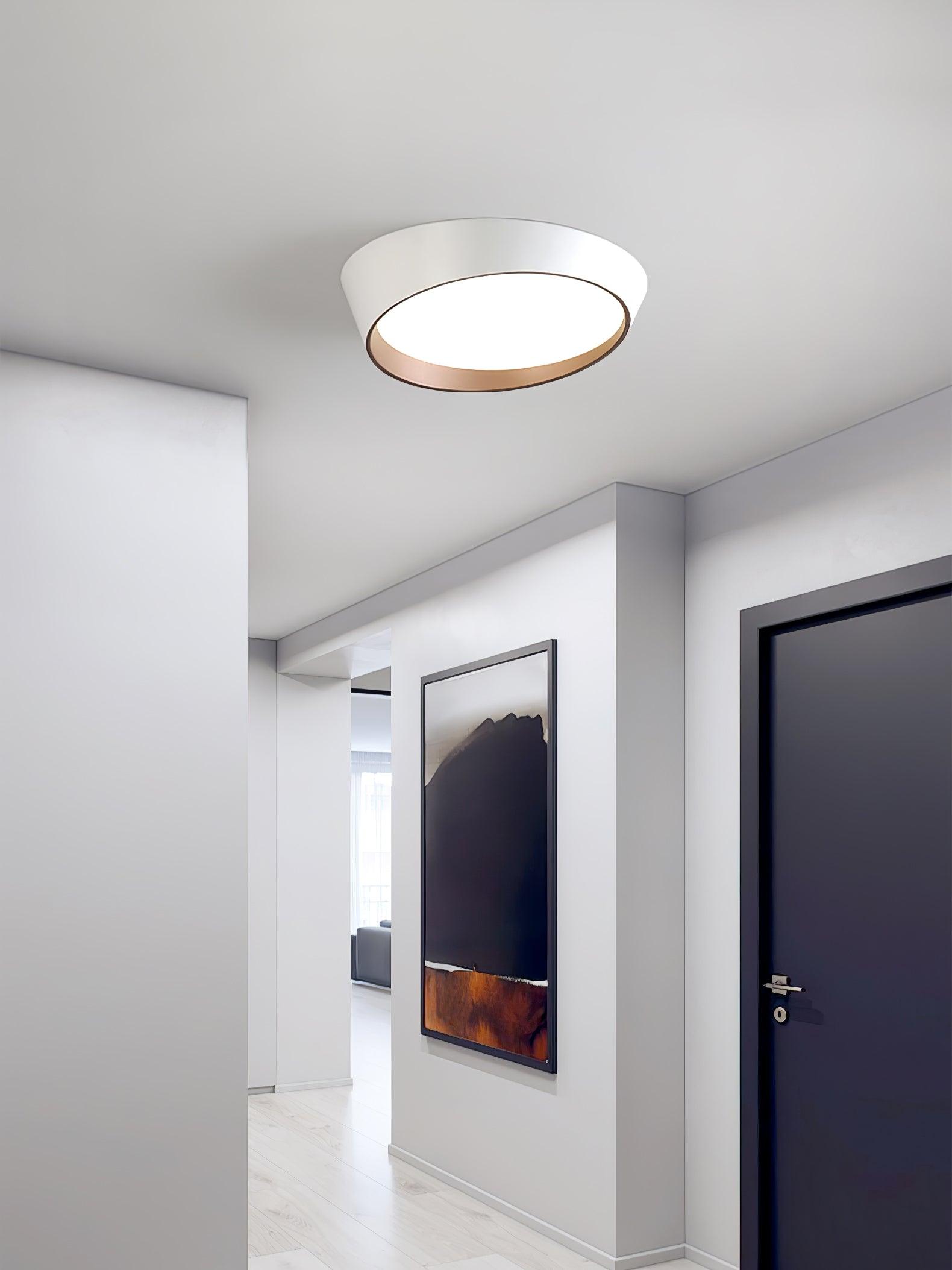Arixa Modern Minimalist Ceiling Lamp-Neutral Decor