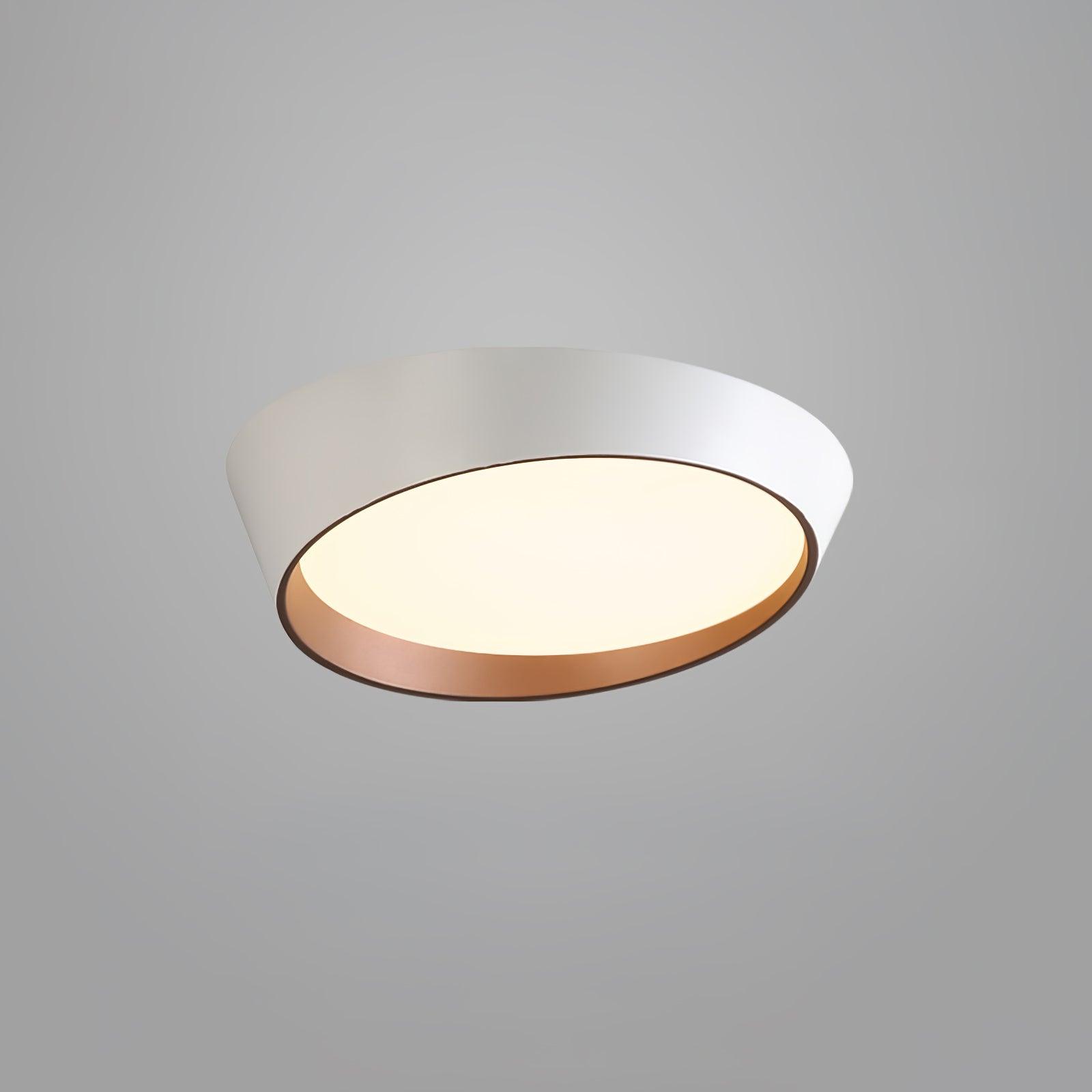 Arixa Modern Minimalist Ceiling Lamp-Neutral Decor