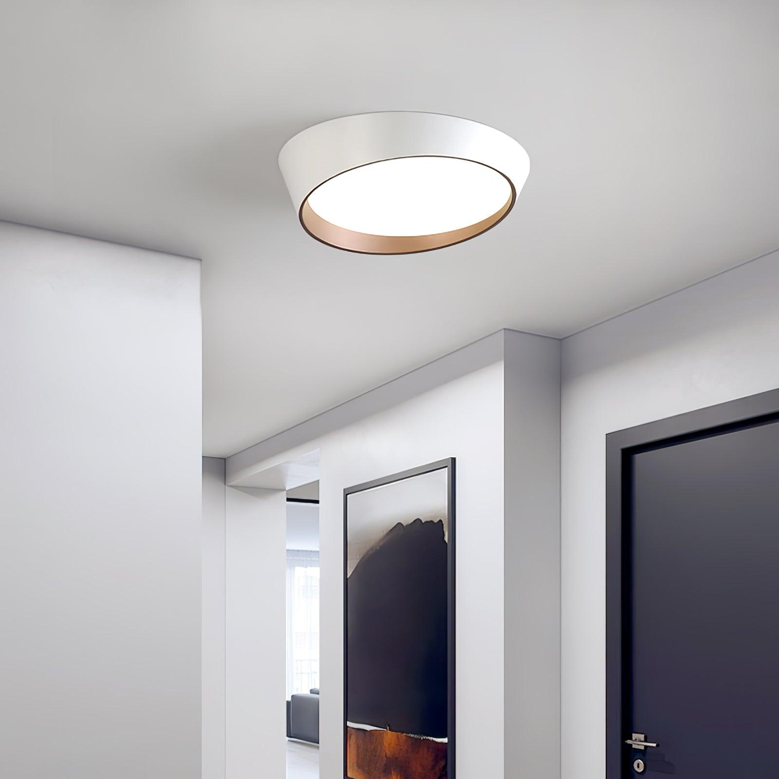 Arixa Modern Minimalist Ceiling Lamp-Neutral Decor