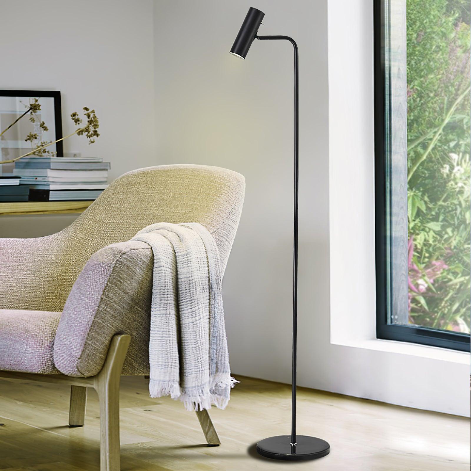 Nirixa Brass Industrial Floor Lamp-Neutral Decor