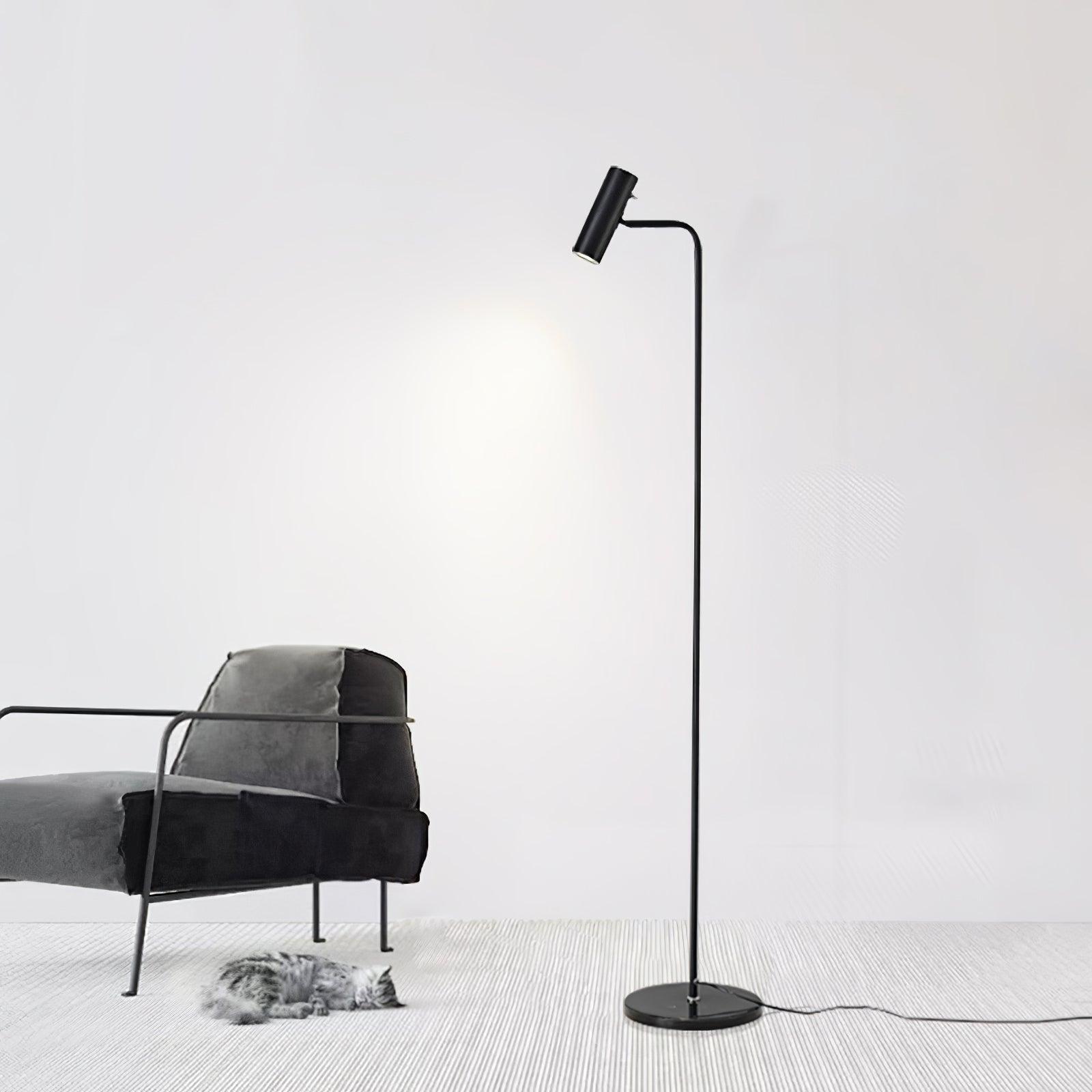 Nirixa Brass Industrial Floor Lamp-Neutral Decor