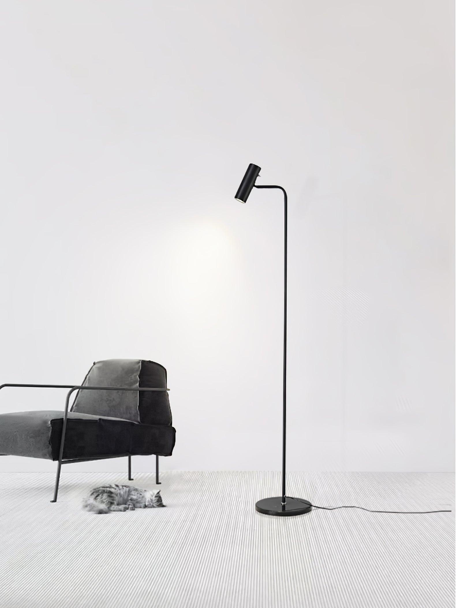 Nirixa Brass Industrial Floor Lamp-Neutral Decor