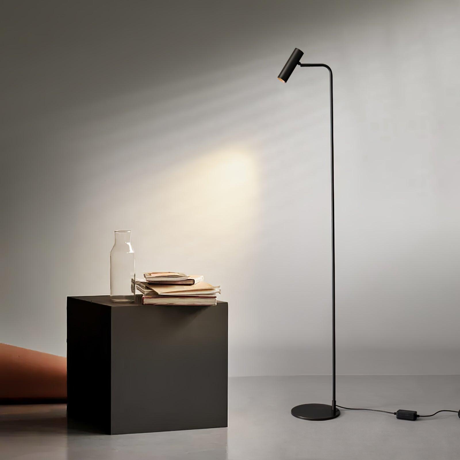 Nirixa Brass Industrial Floor Lamp-Neutral Decor