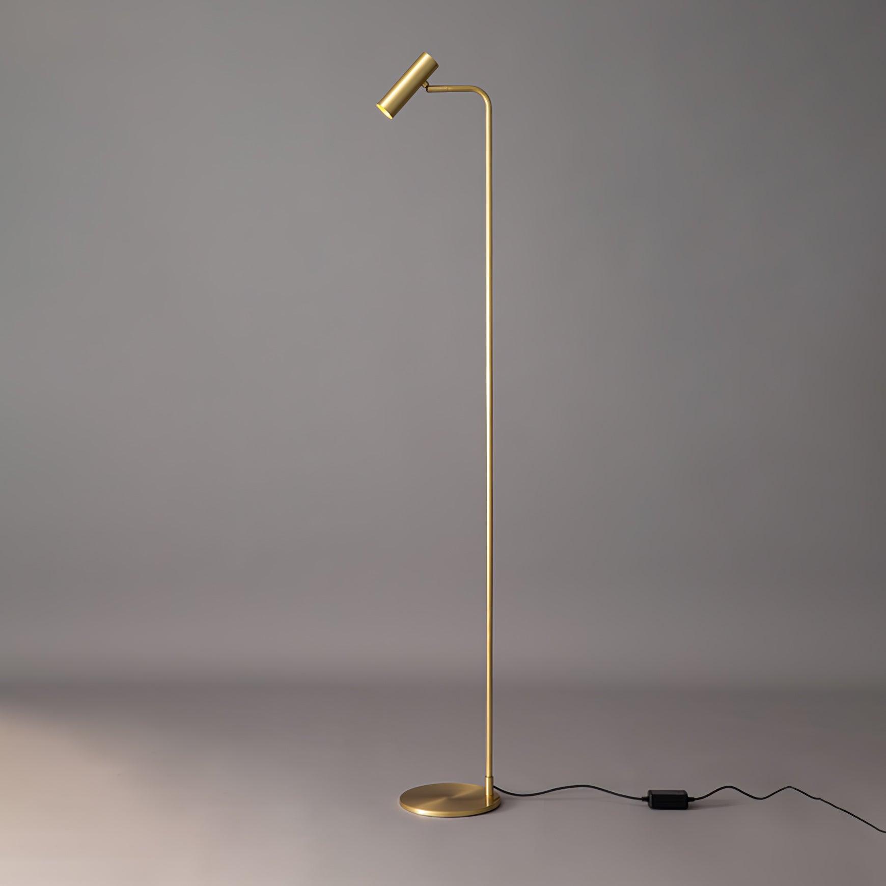 Nirixa Brass Industrial Floor Lamp-Neutral Decor