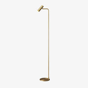 Nirixa Brass Industrial Floor Lamp-Neutral Decor