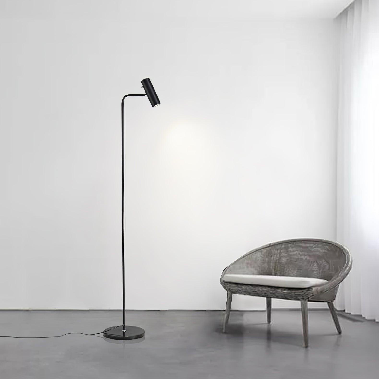 Nirixa Brass Industrial Floor Lamp-Neutral Decor