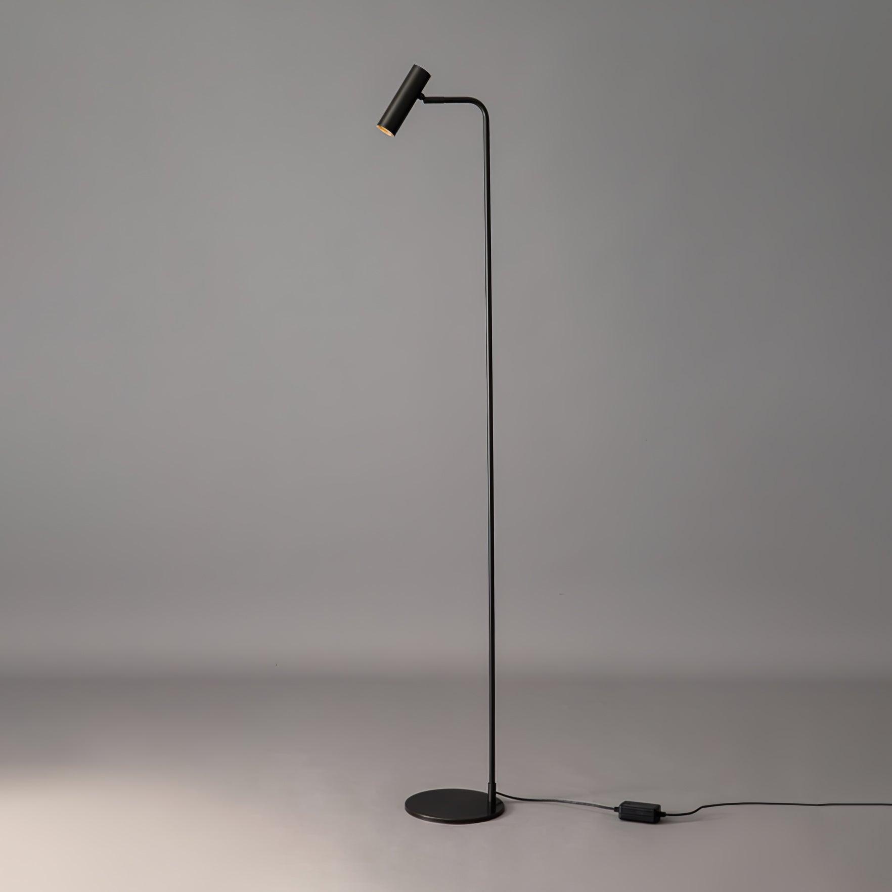 Nirixa Brass Industrial Floor Lamp-Neutral Decor
