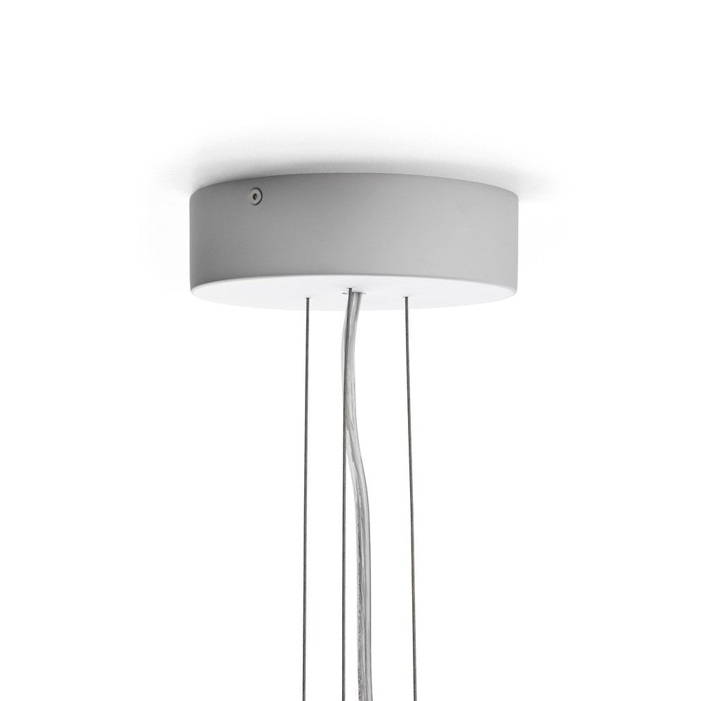Wilenna Chandelier