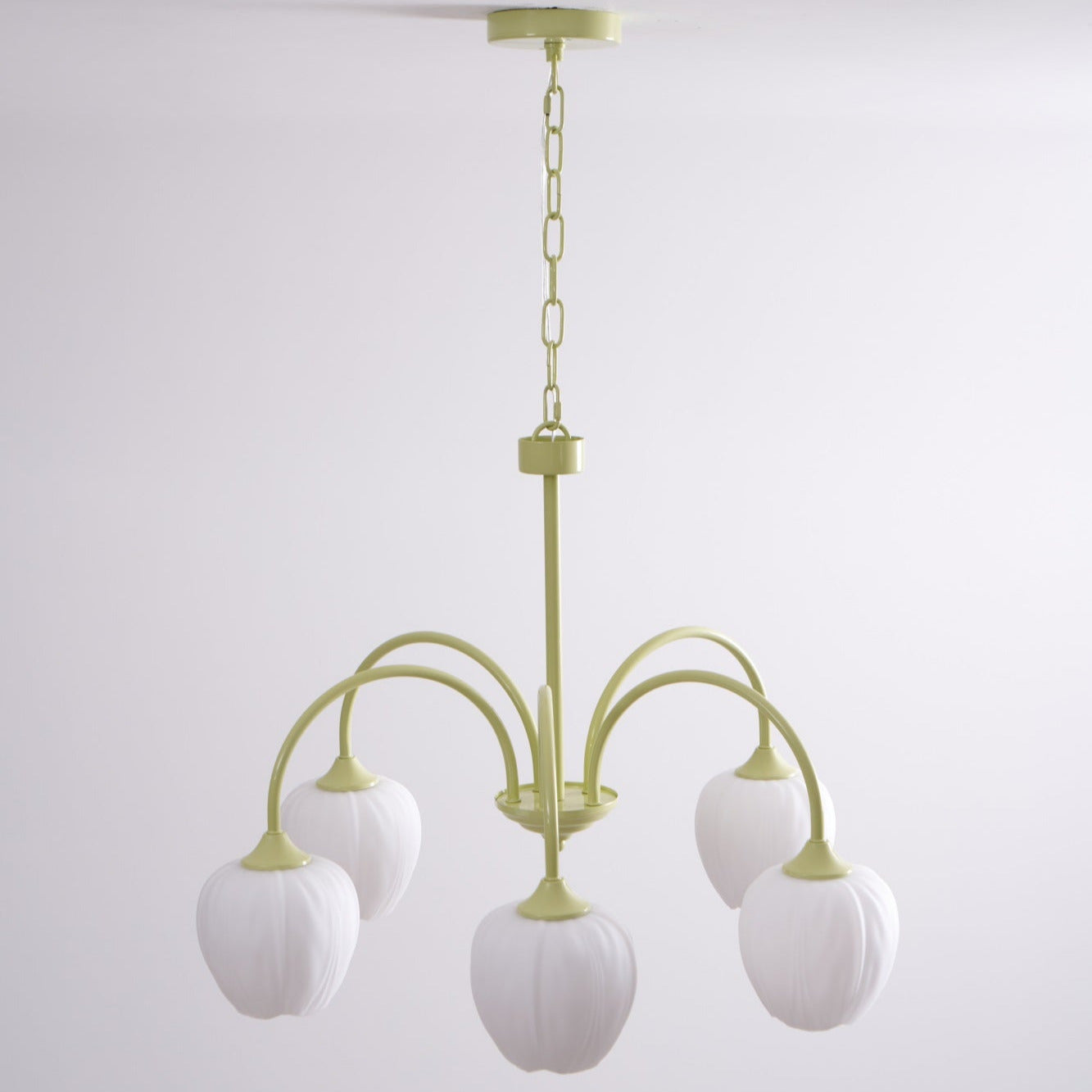 Tulip Fresh Chandeliers Glass