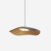 Zynthra Resin Artistic Pendant Lamp-Neutral Decor