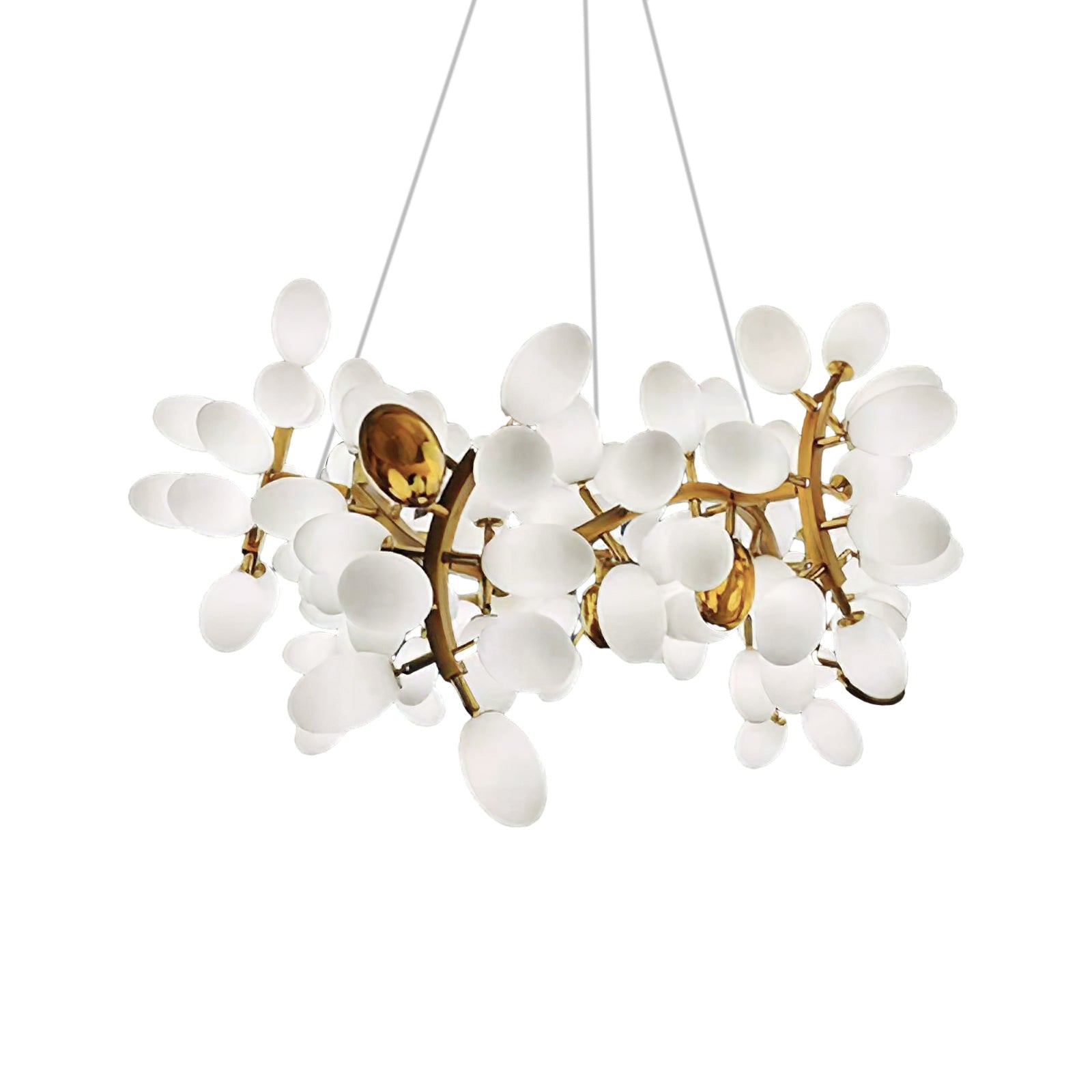 Elara Glass Chandelier