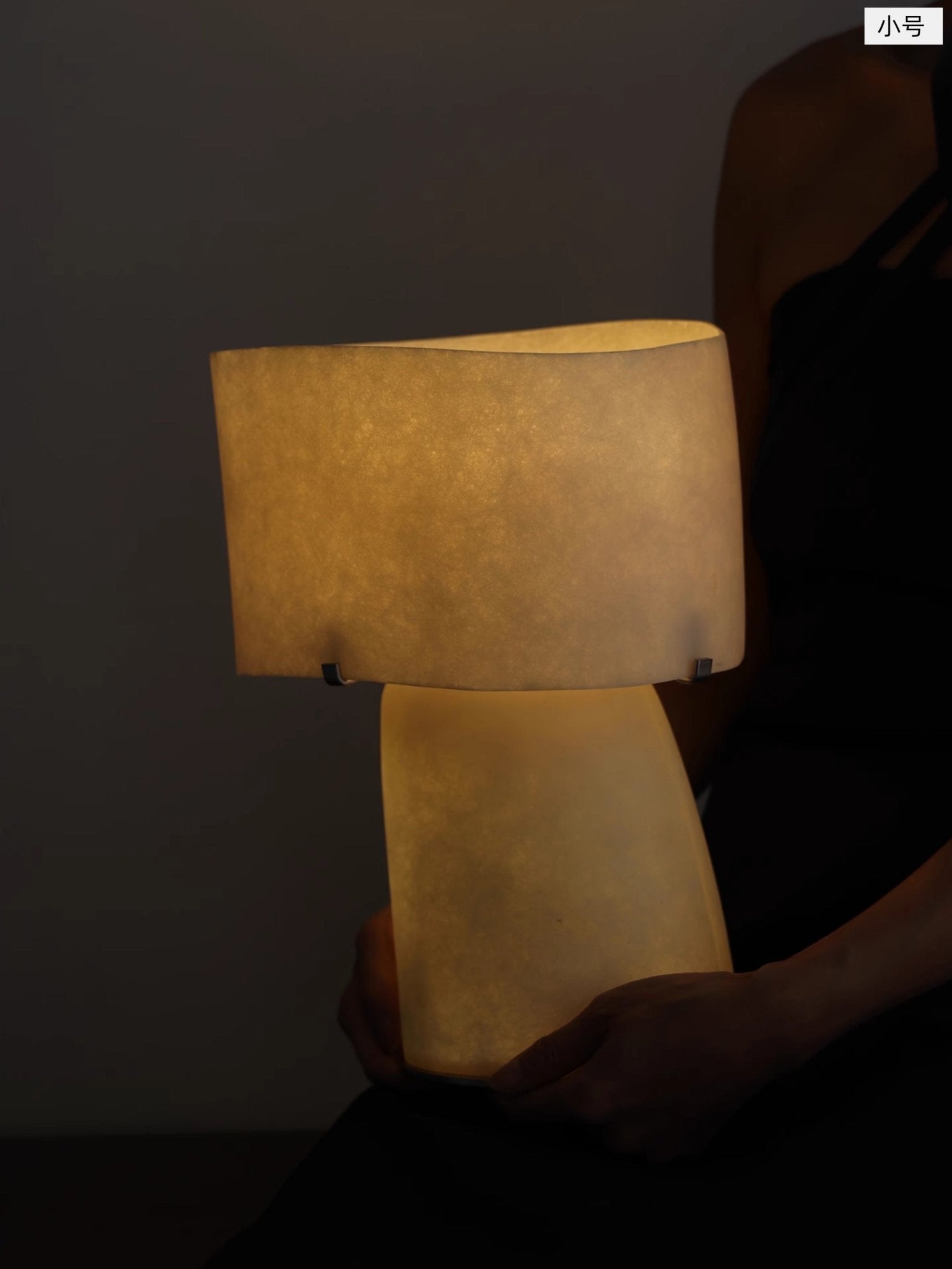 Lirvyn Table Lamp-Neutral Decor