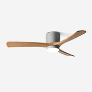 Soren Ceiling Fan Light