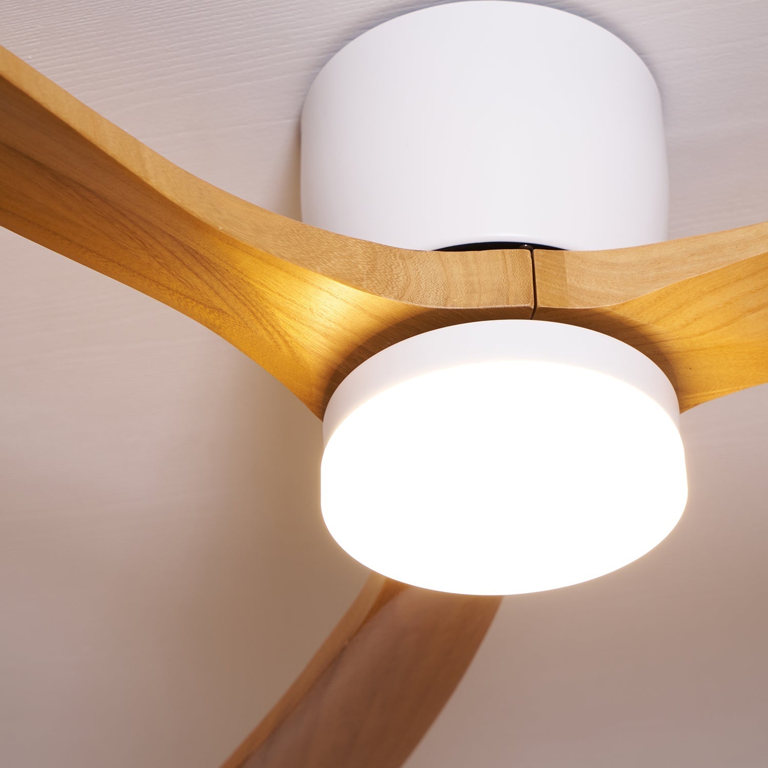 Soren Ceiling Fan Light